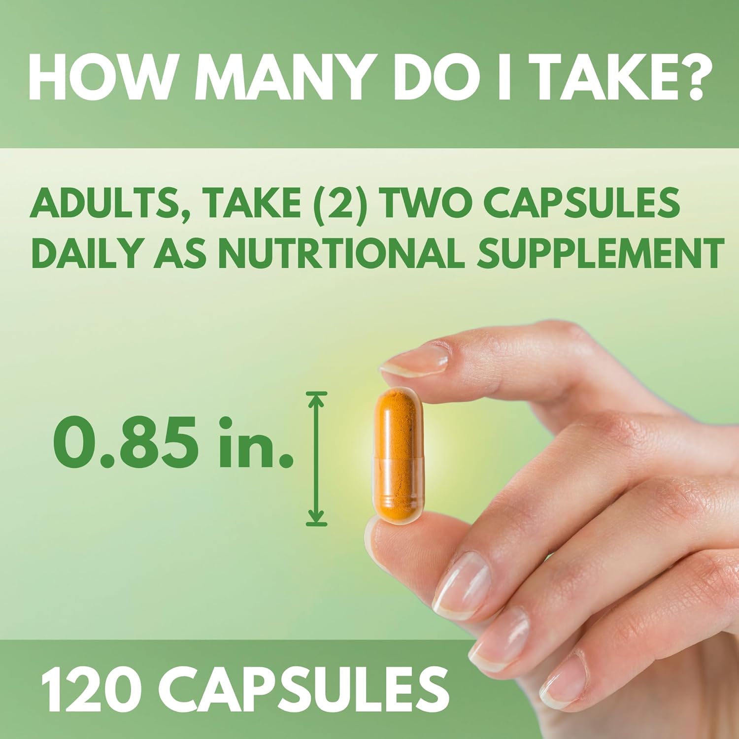 Arymar Diosmin Plus 900 - 1000mg Circulatory System Support Supplement, 120 Capsules