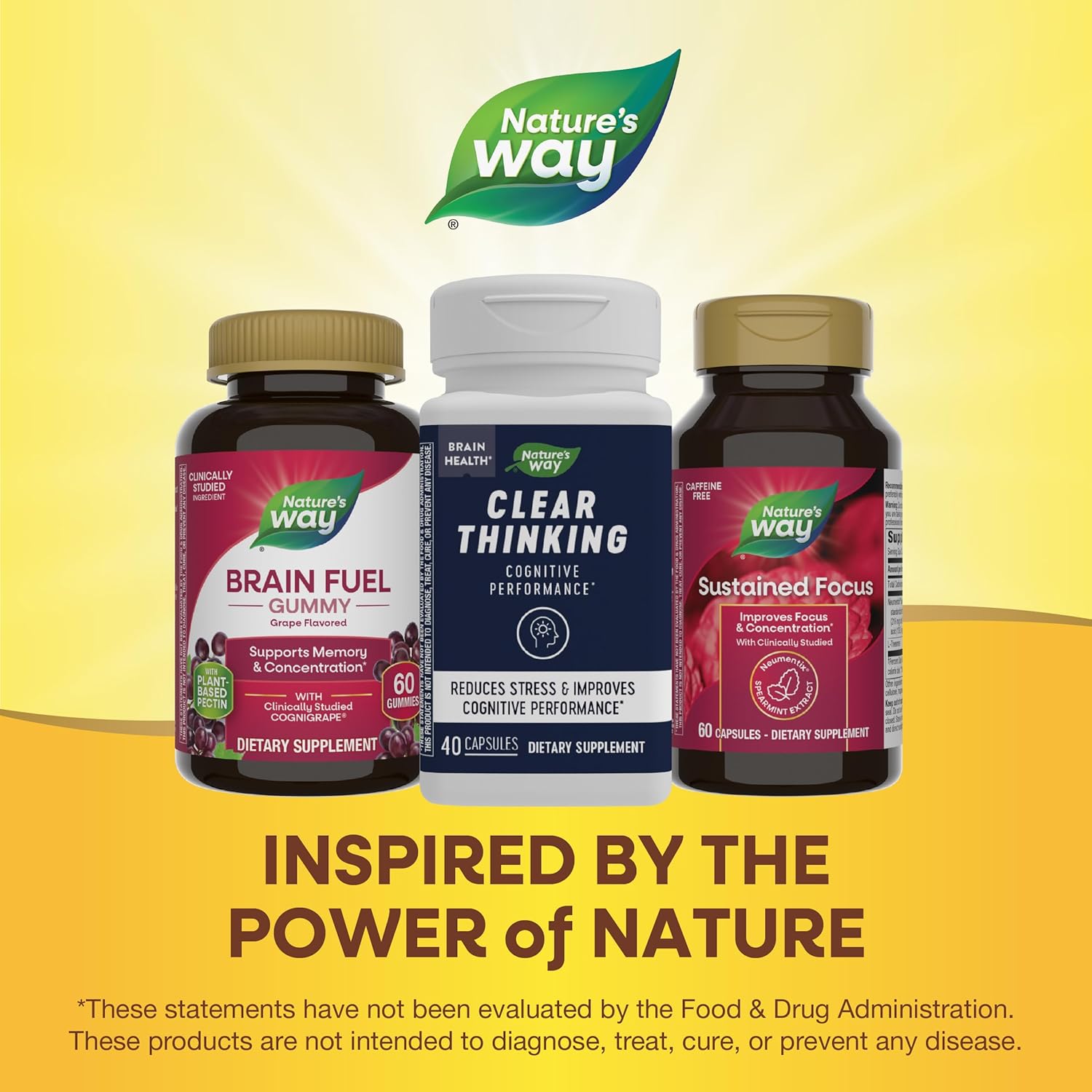 Ashwagandha Capsules for Clear Thinking & Stress Reduction - 40 Capsules