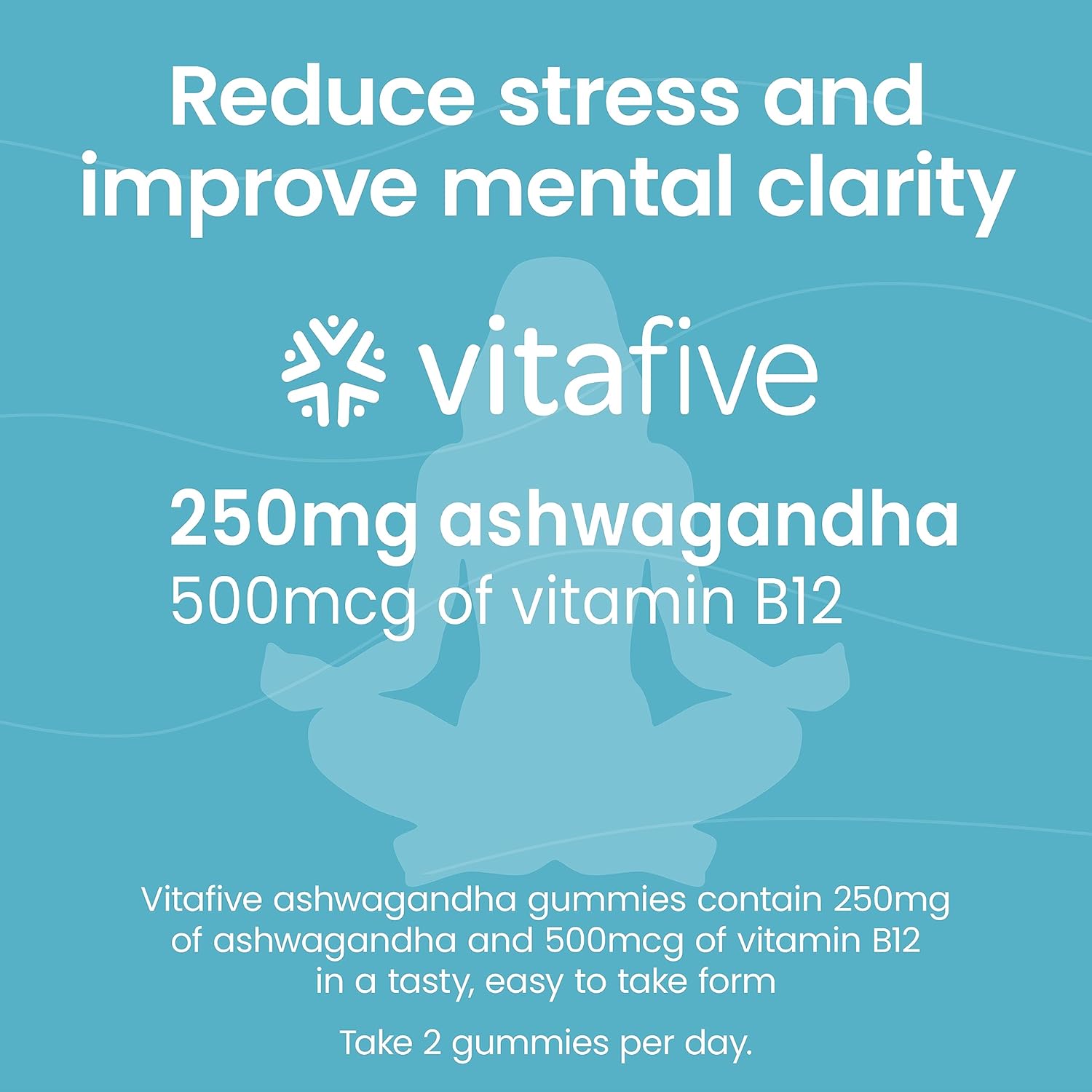 Ashwagandha Gummies with Vitamin B12 - Vegan & Gluten Free for Men and Women (50 Ct) - BoostGo Australia