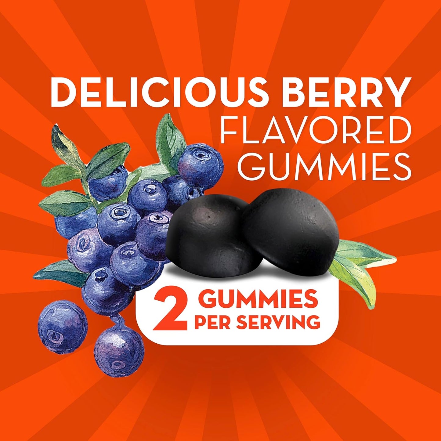 Ashwagandha Probiotic Gummies for Stress Relief, Digestive Support, Men & Women, Gluten-Free, Soy-Free, Vegetarian - Pack of 100 Gummies