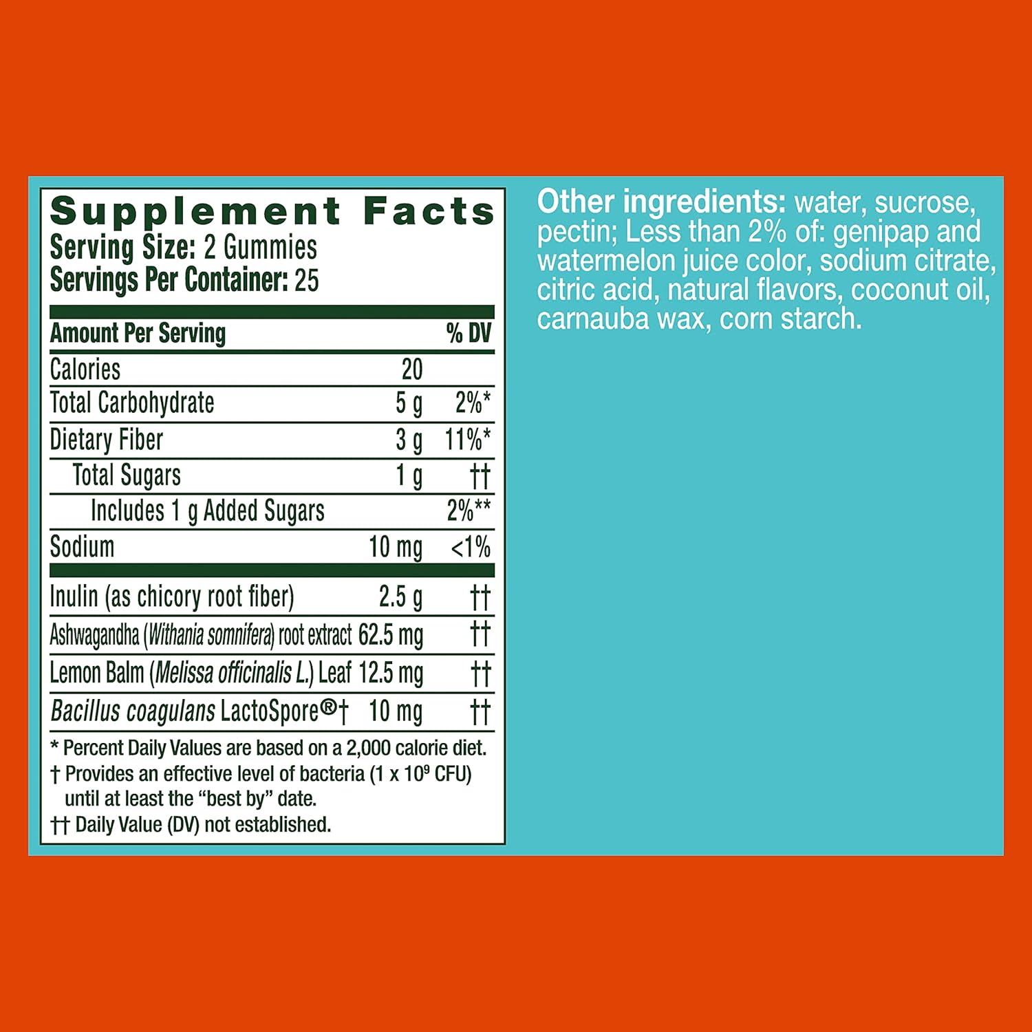 Ashwagandha Probiotic Gummies for Stress Relief, Digestive Support, Men & Women, Gluten-Free, Soy-Free, Vegetarian - Pack of 100 Gummies