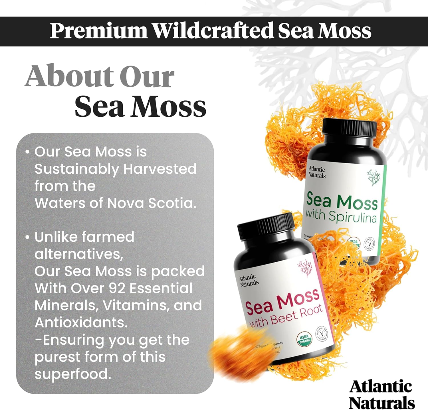 Atlantic Naturals Sea Moss Superfood Bundle - Beet Root & Spirulina Capsules for Defense, Blood Flow, Joint Health & Iron - 240 Capsules
