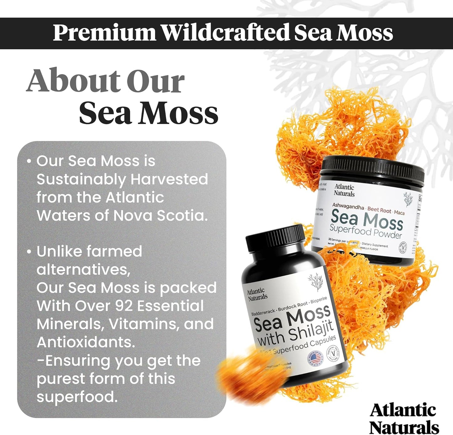 Atlantic Naturals Sea Moss Superfood Bundle - Sea Moss with Shilajit Capsules & Powder with Ashwagandha, Beet Root & Maca - Enhanced Vitality, Skin & Athletic Support 60 ct & 150g