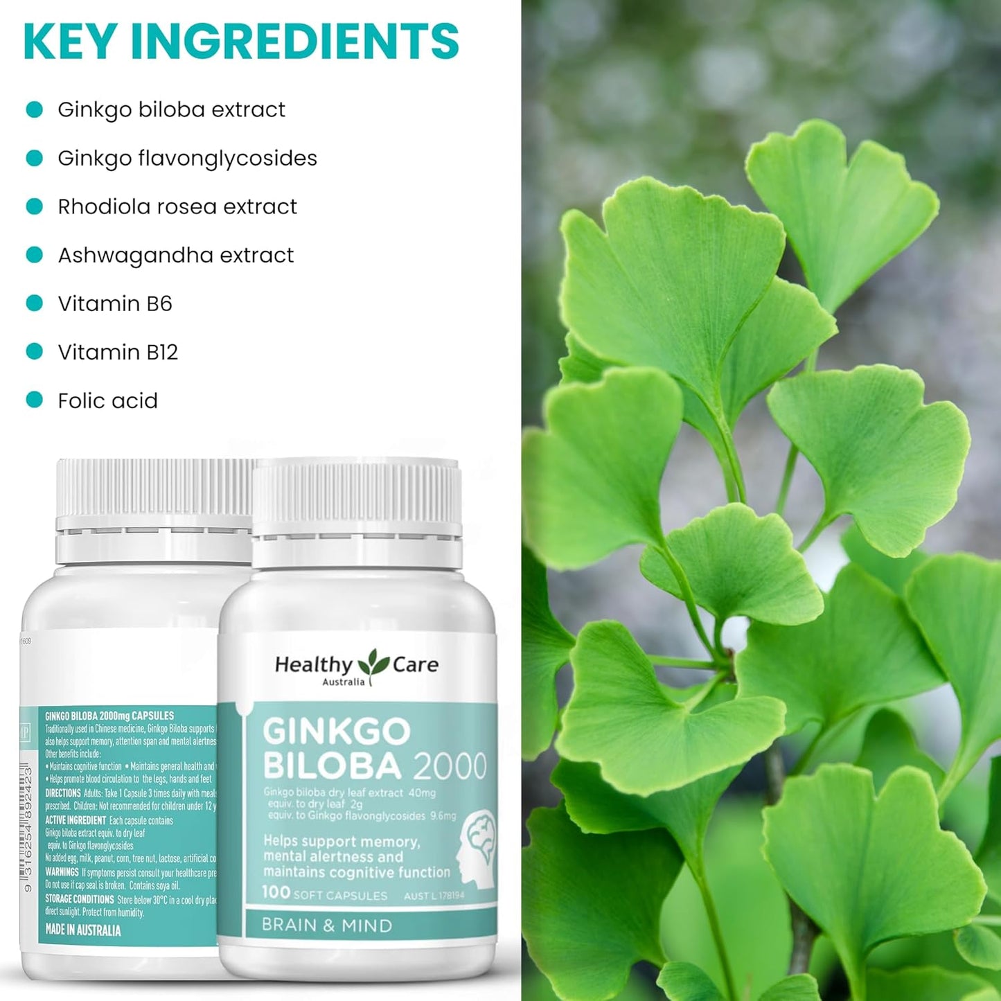 Australian Made Ginkgo Biloba Capsules - 2000mg, 100 Count - Natural Health Support