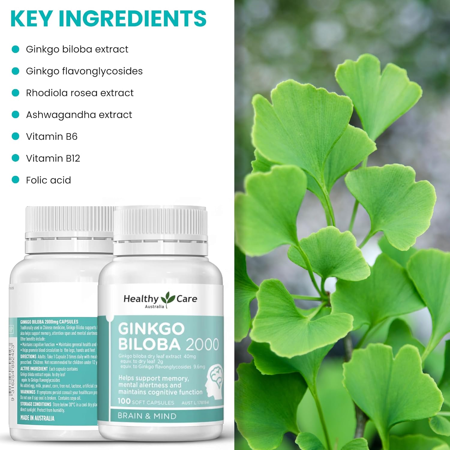 Australian Made Ginkgo Biloba Capsules - 2000mg, 100 Count - Natural Health Support