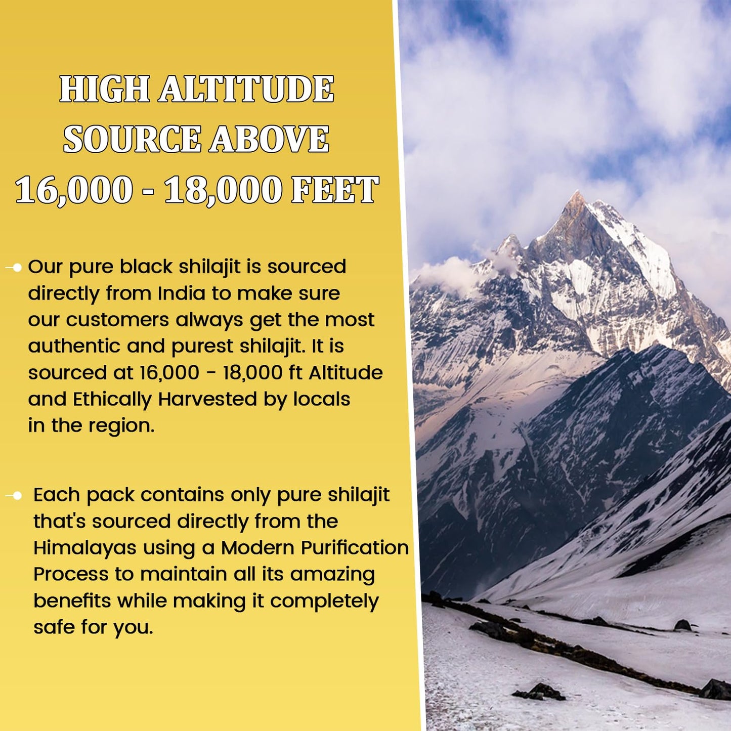 Authentic Hard Consistency Pure Himalayan Shilajit with 77% Fulvic Acid - Natural Source of Minerals - 50g with Stainless Steel Spoon
