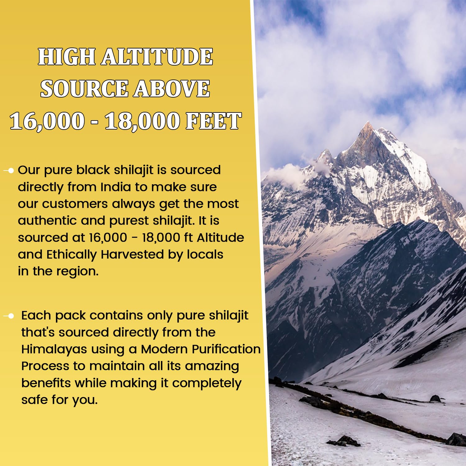 Authentic Hard Consistency Pure Himalayan Shilajit with 77% Fulvic Acid - Natural Source of Minerals - 50g with Stainless Steel Spoon