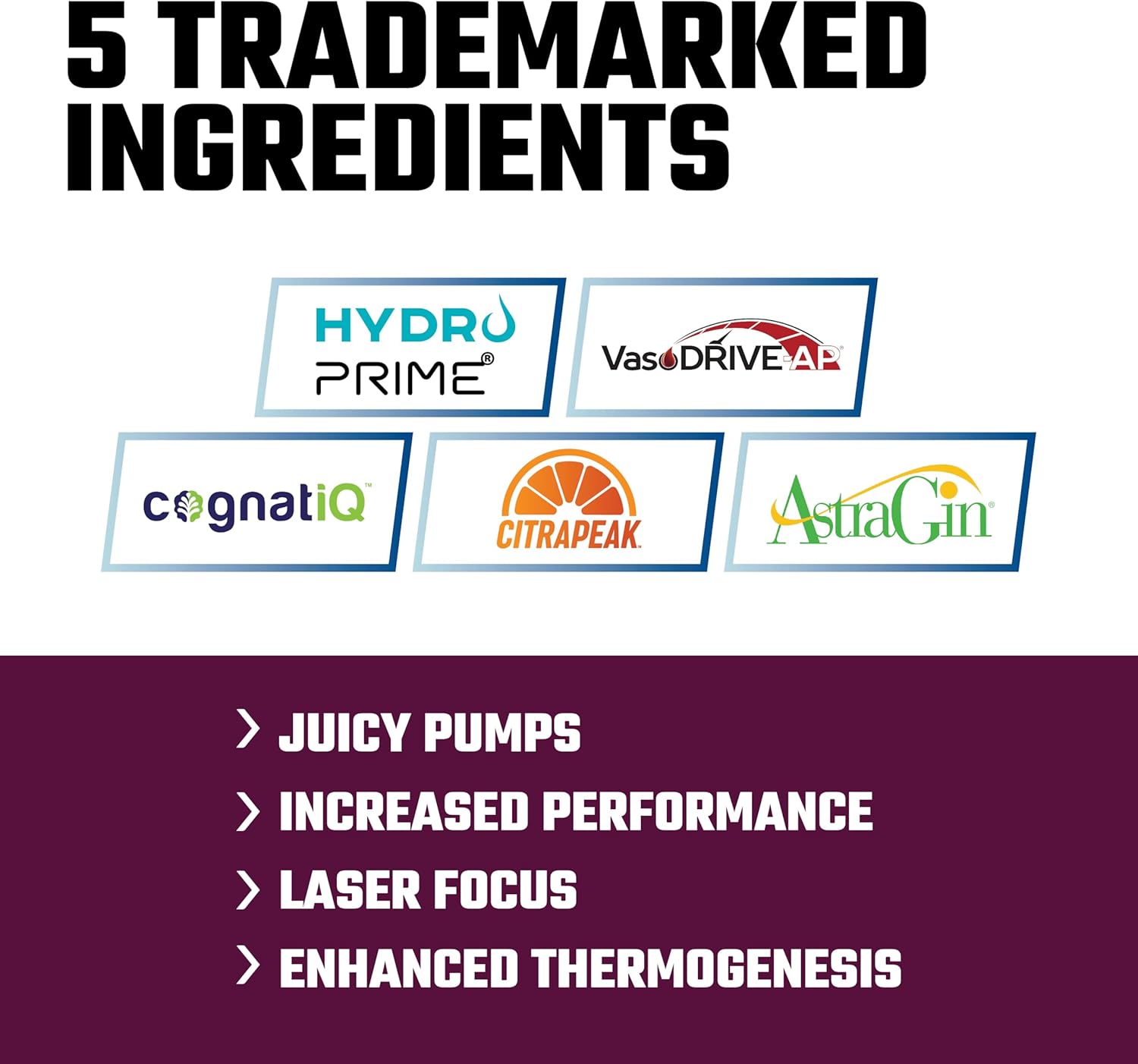 Axe & Sledge Hydraulic Stimulant-Free Pump Pre-Workout Powder - BlackBerry Lemonade, 40 Servings