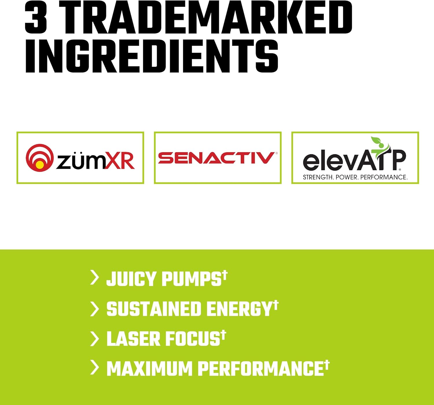 Axe & Sledge Intake Pre-Workout Supplement, Sour Citrus Punch Flavor, Available in 20 or 40 Servings