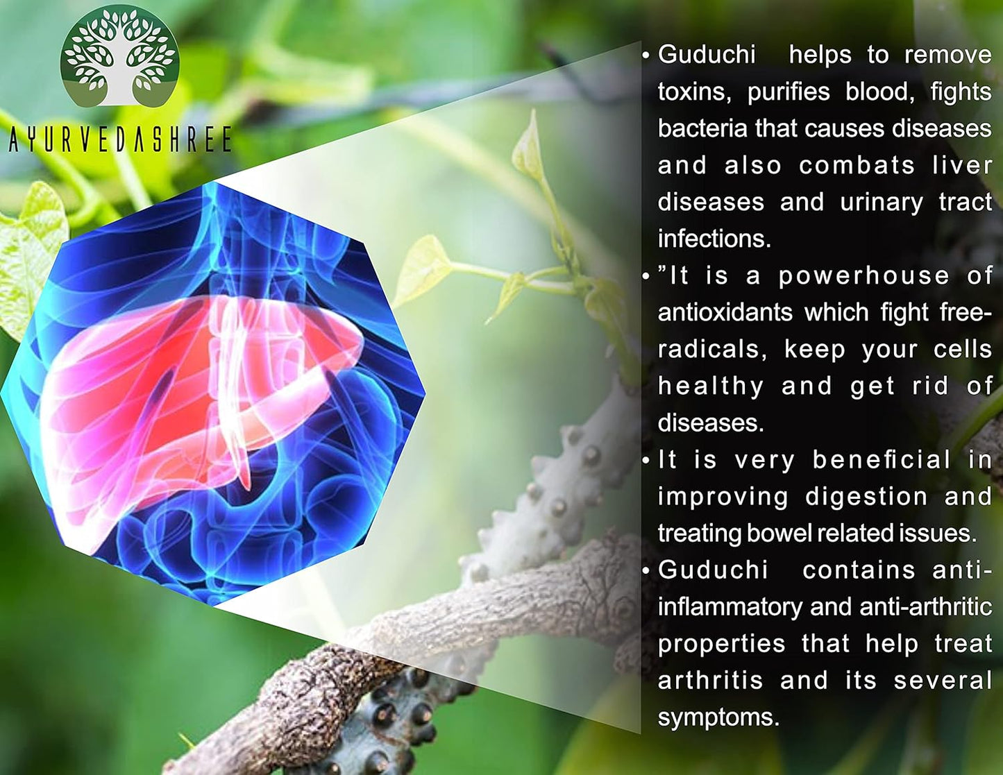 Ayurvedashree Guduchi Powder 200g - Pure Giloy Powder for Immune Support - Tinospora Cordifolia - Non GMO - Gluten Free - 100% Natural