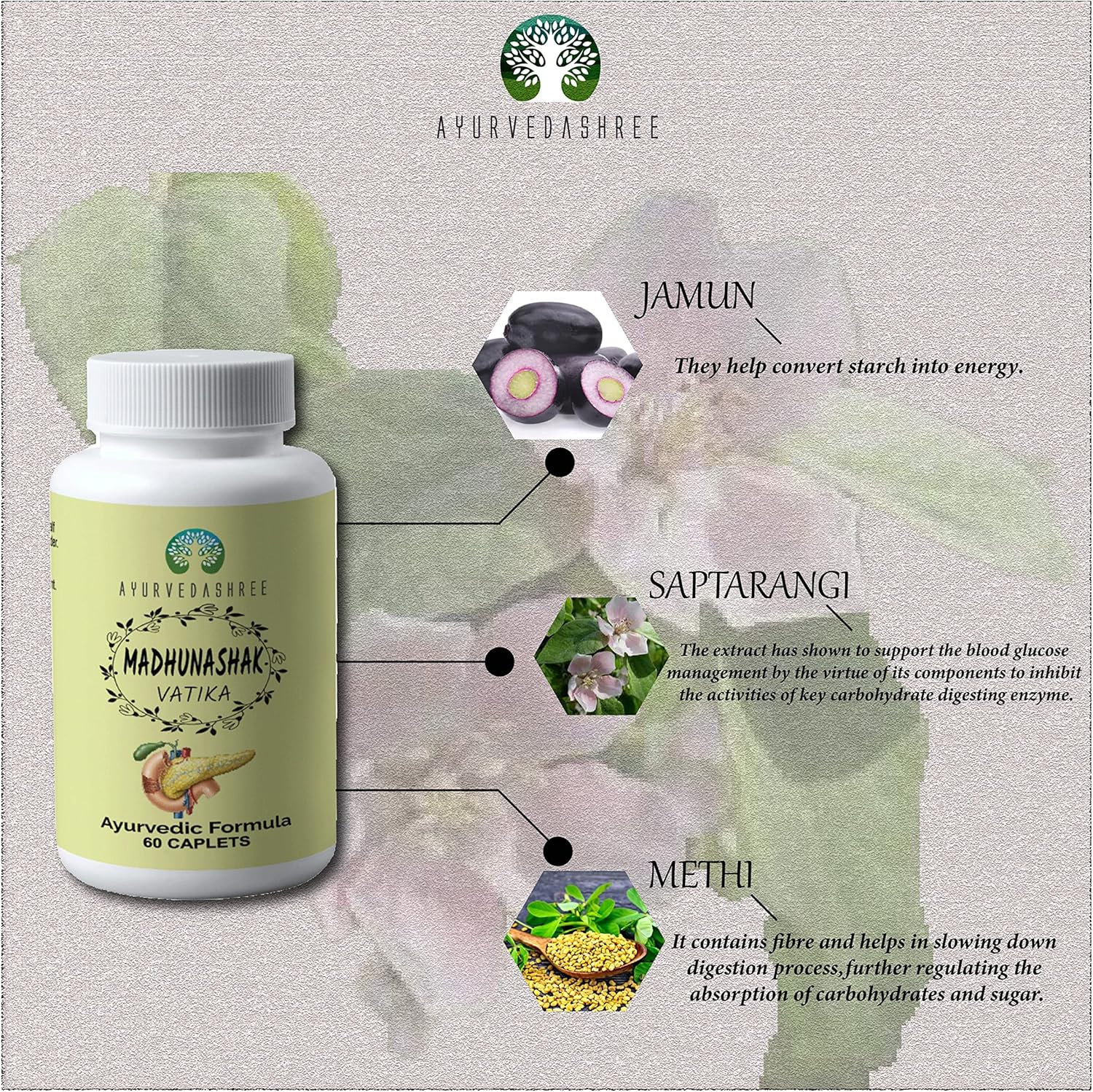 Ayurvedashree Madhunashak Vatika 60 Caplets - 1000 MG Natural Herb Extracts - Ayurvedic Formula