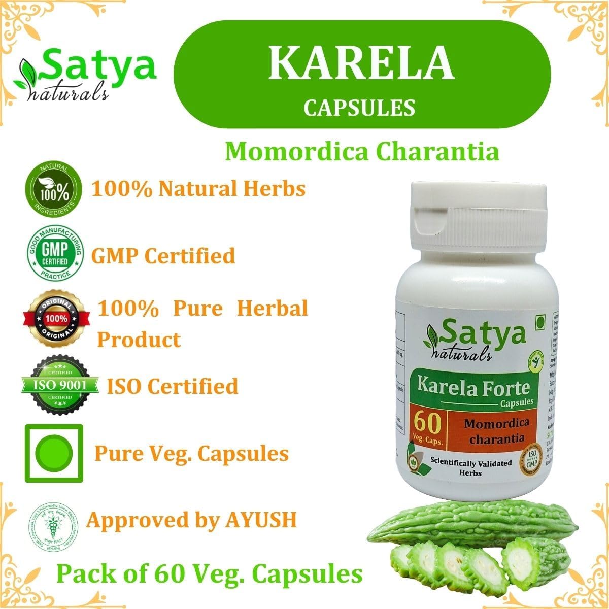 Ayurvedic Bitter Melon Forte Capsules 500mg - 60 Veg Capsules | Momordica Charantia Extract for Men and Women | Herbal Supplement - 10:1 Forte Ratio (1 Bottle)