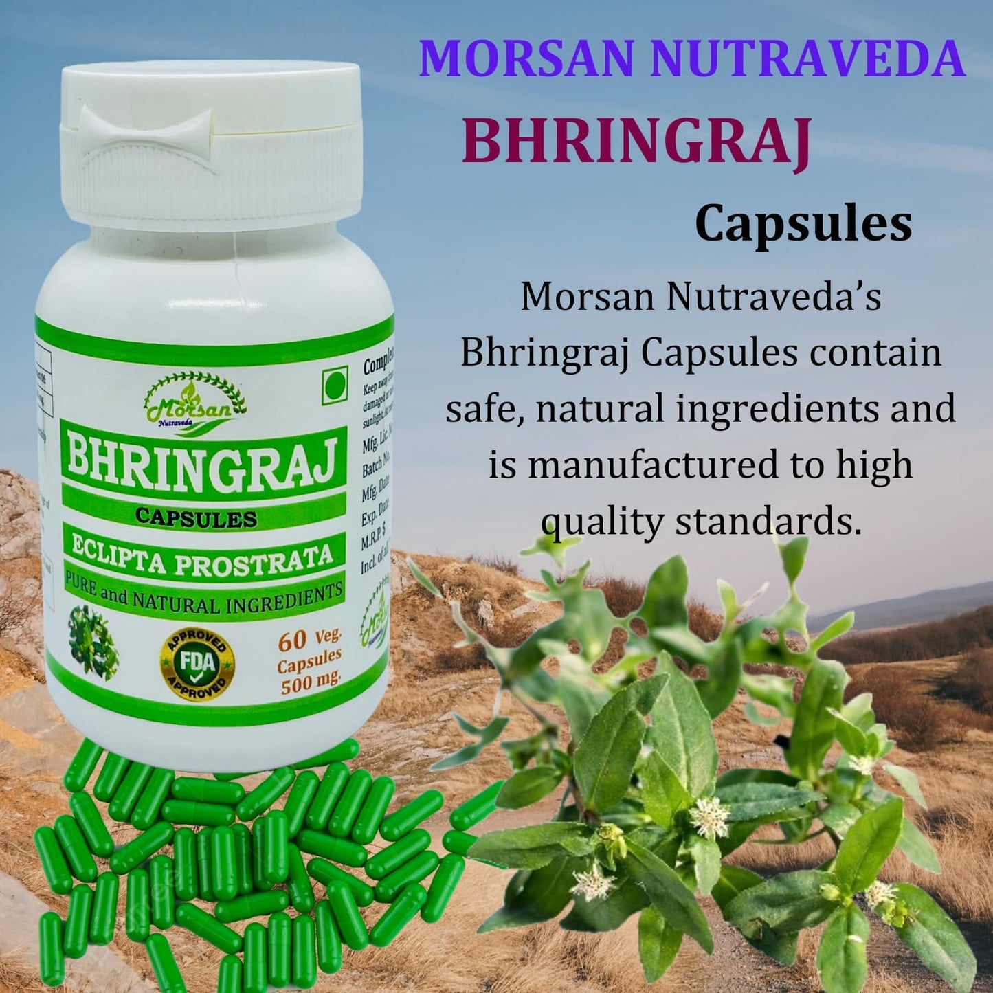 Ayurvedic Herbal Supplement Bhringraj Capsules for Men and Women - 500 mg Natural Eclipta Prostrata Extract - 60 Veggie Capsules x 2 Packs
