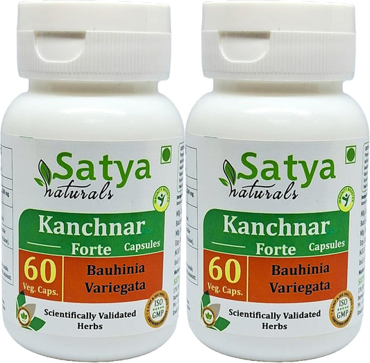 Ayurvedic Kanchnar Forte Capsules 500mg - Men & Women Herbal Supplement - 2 Bottles of 60 Veg Capsules - Satya Naturals