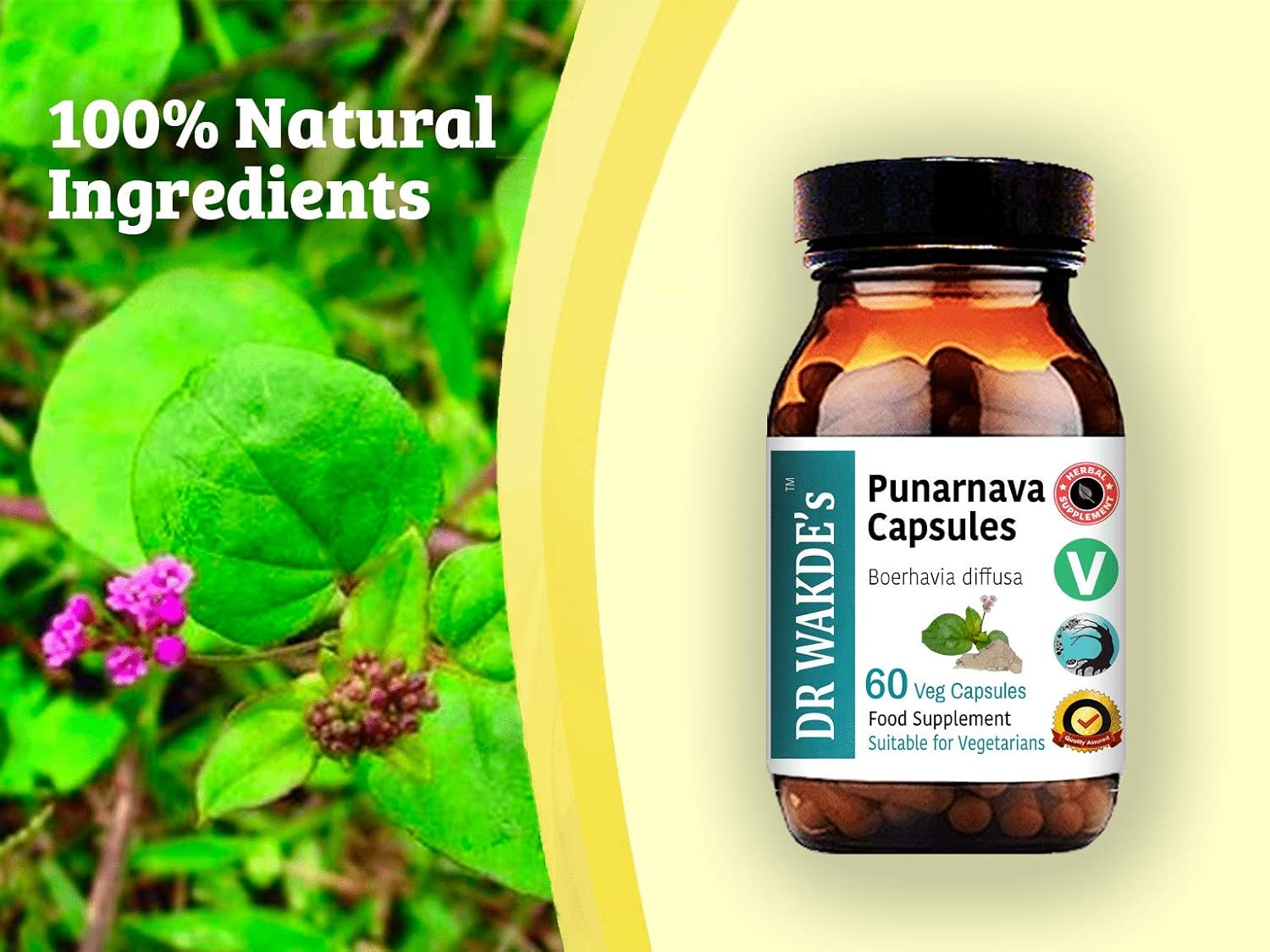 Ayurvedic Punarnava Capsules - 60 Veg Caps, Boerhavia Diffusa Supplement, Plant-Based & Vegan Formula