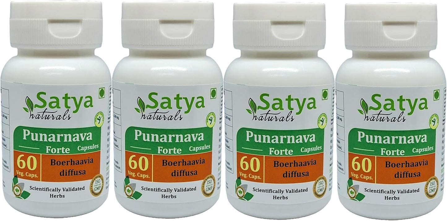 Ayurvedic Punarnava Forte Capsules 500mg - Herbal Supplement for Men and Women - 10:1 Extract - 240 Capsules Total