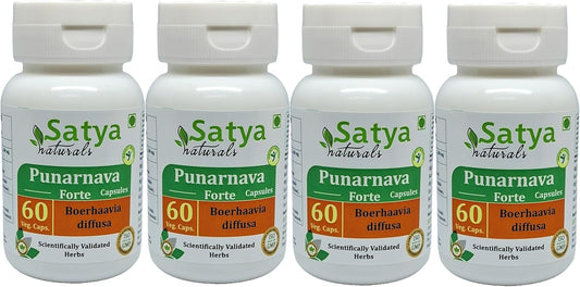 Ayurvedic Punarnava Forte Capsules 500mg - Herbal Supplement for Men and Women - 10:1 Extract - 240 Capsules Total