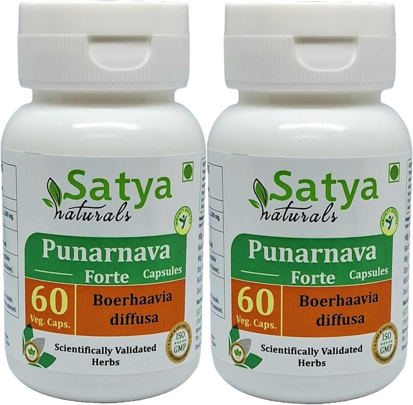 Ayurvedic Satya Naturals Punarnava Forte Capsules 500mg - 120 Capsules | Boerhavia Diffusa Extract for Men & Women | Herbal Supplement for Wellness & Remedies