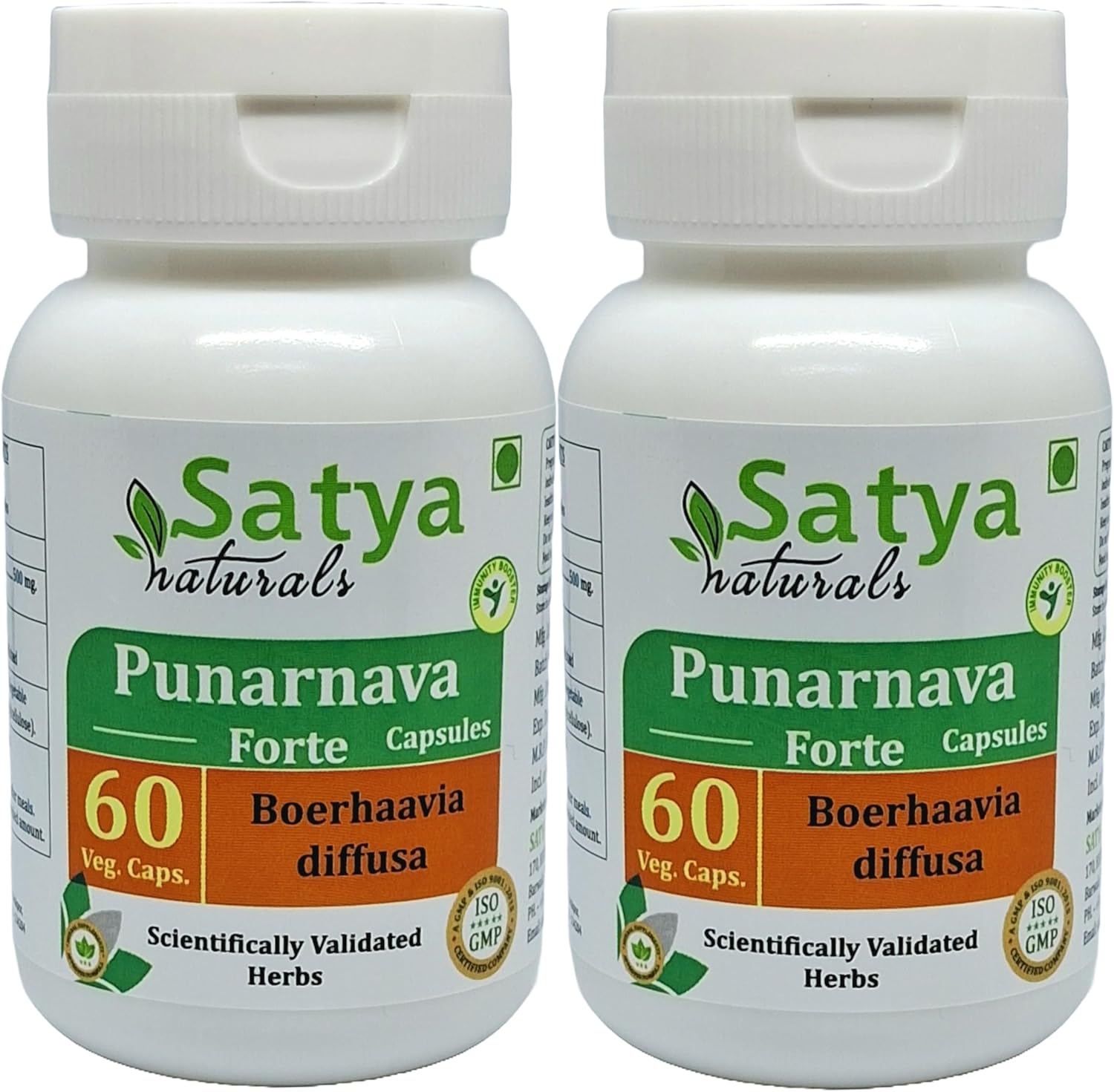 Ayurvedic Satya Naturals Punarnava Forte Capsules 500mg - 120 Capsules | Boerhavia Diffusa Extract for Men & Women | Herbal Supplement for Wellness & Remedies