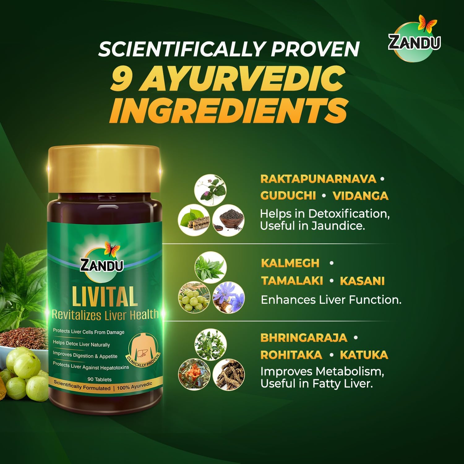 Ayurvedic Zandu Livital Tablets for Liver Protection, Fatty Liver Support, Digestion Aid, and Detoxification - 100% Natural Ingredients
