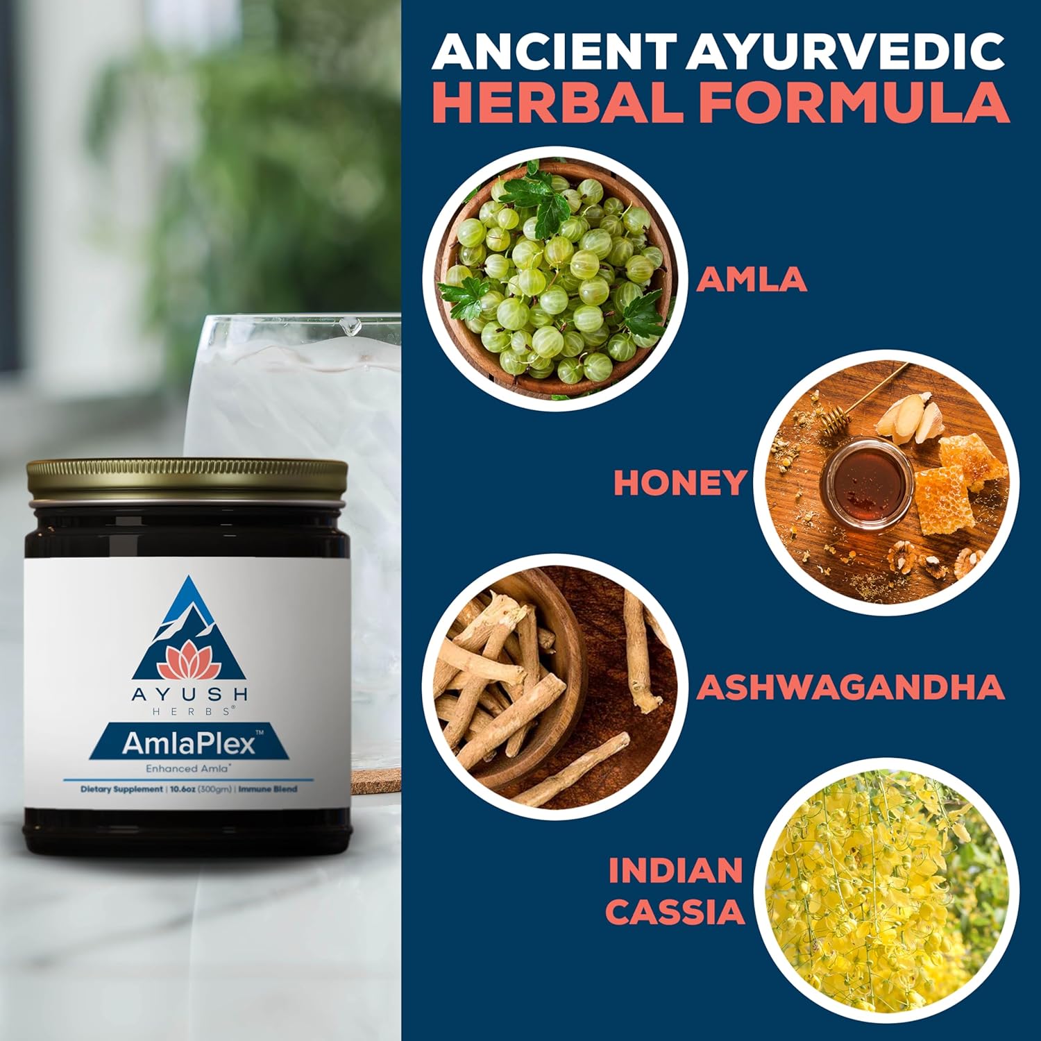 Ayush Herbs AmlaPlex Chyawanprash - Immune Support & Digestive Health, Indian Honey Jam with Ashwagandha - 10.6 oz Jar