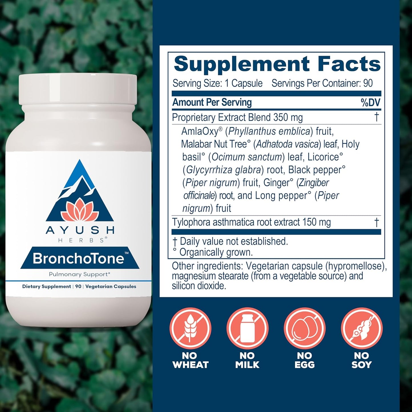 Ayush Herbs Bronchotone: Respiratory & Immune Support Supplement - 90 Vegetarian Capsules