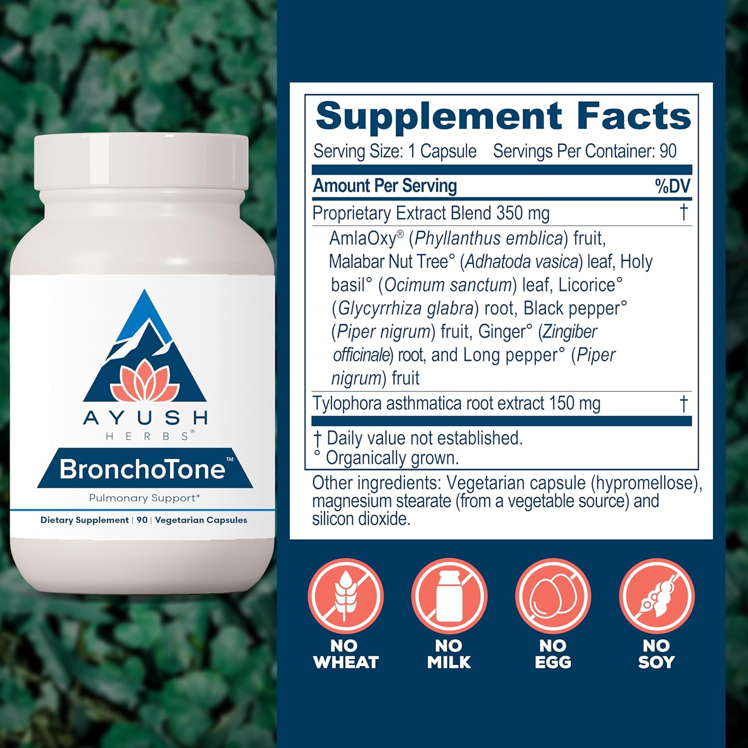 Ayush Herbs Bronchotone: Respiratory & Immune Support Supplement - 90 Vegetarian Capsules