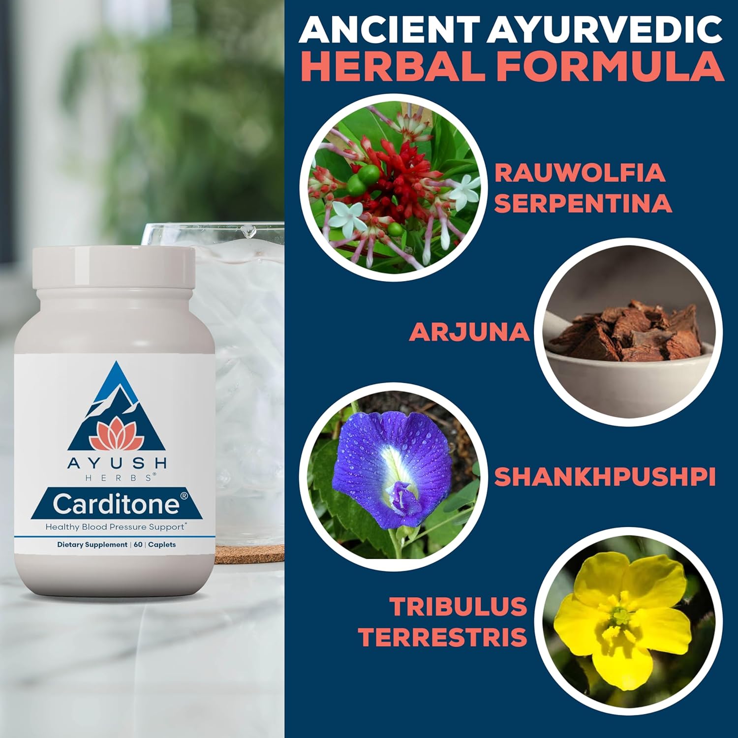 Ayush Herbs Carditone Caplets - 120 Count, Pack of Two