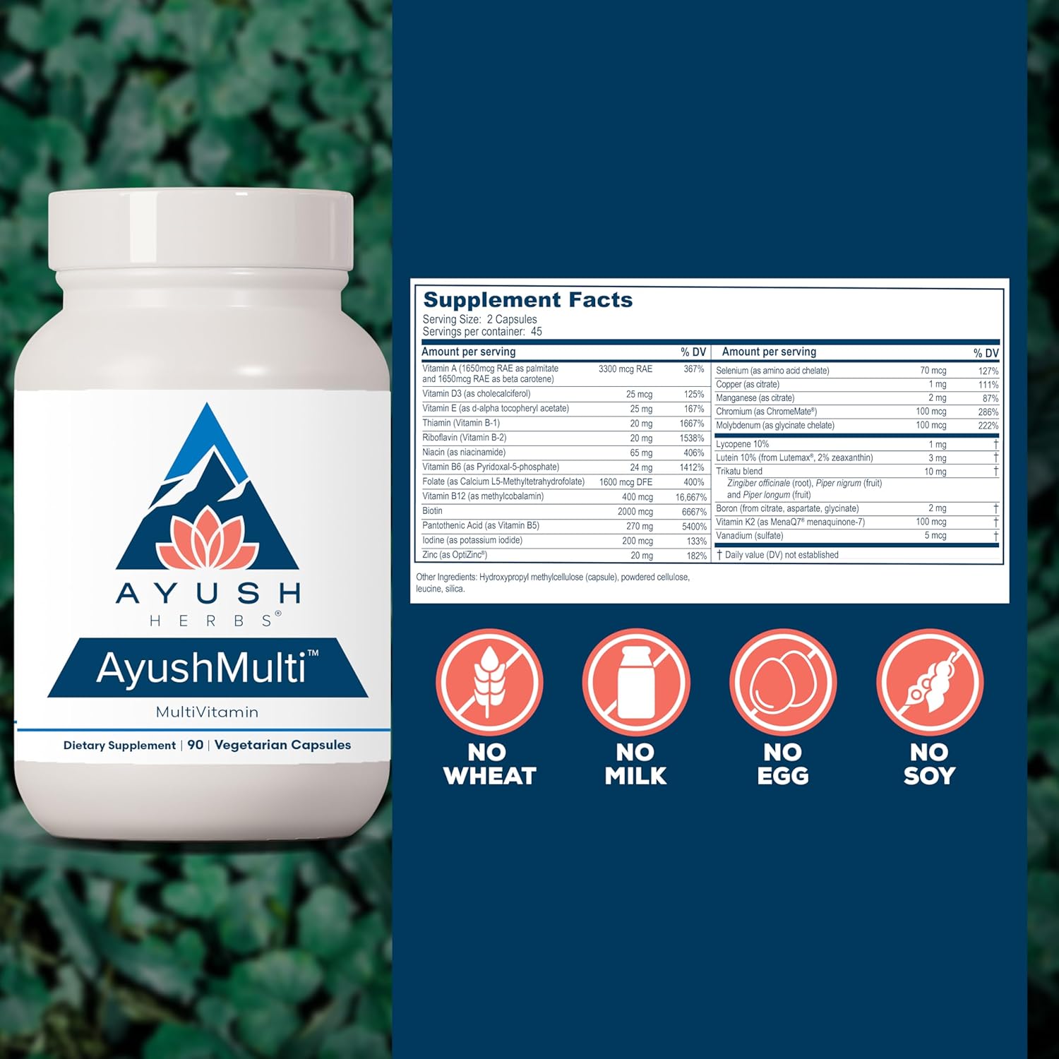 Ayush Herbs Multi: High Antioxidant Multivitamin for Women & Men - Daily B Vitamin & Chelated Mineral Supplements - 90 Vegetarian Capsules