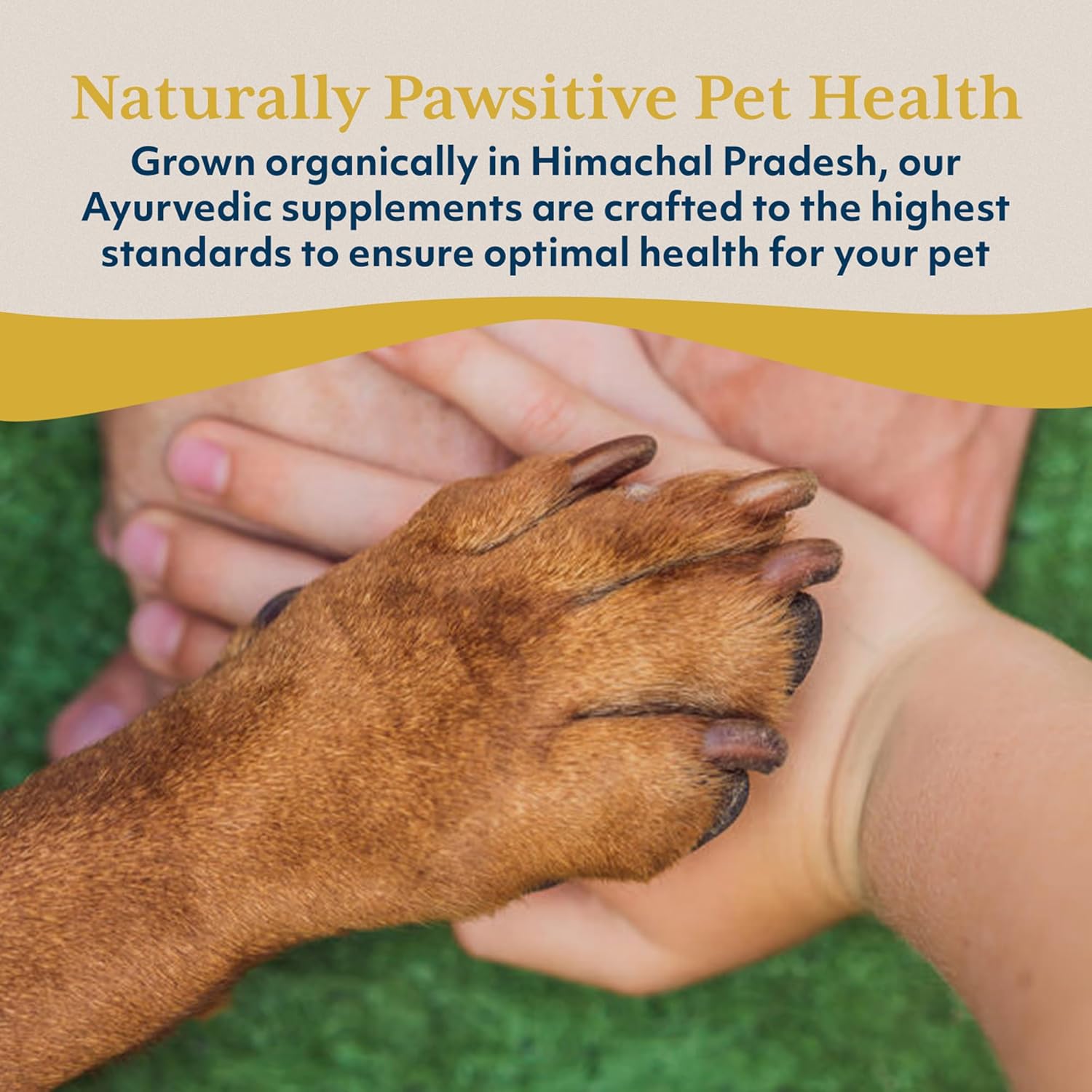 Ayush Herbs Pet Stress Support Capsules with Ashwagandha for Calming, Energy, and Vitality - 120 Count