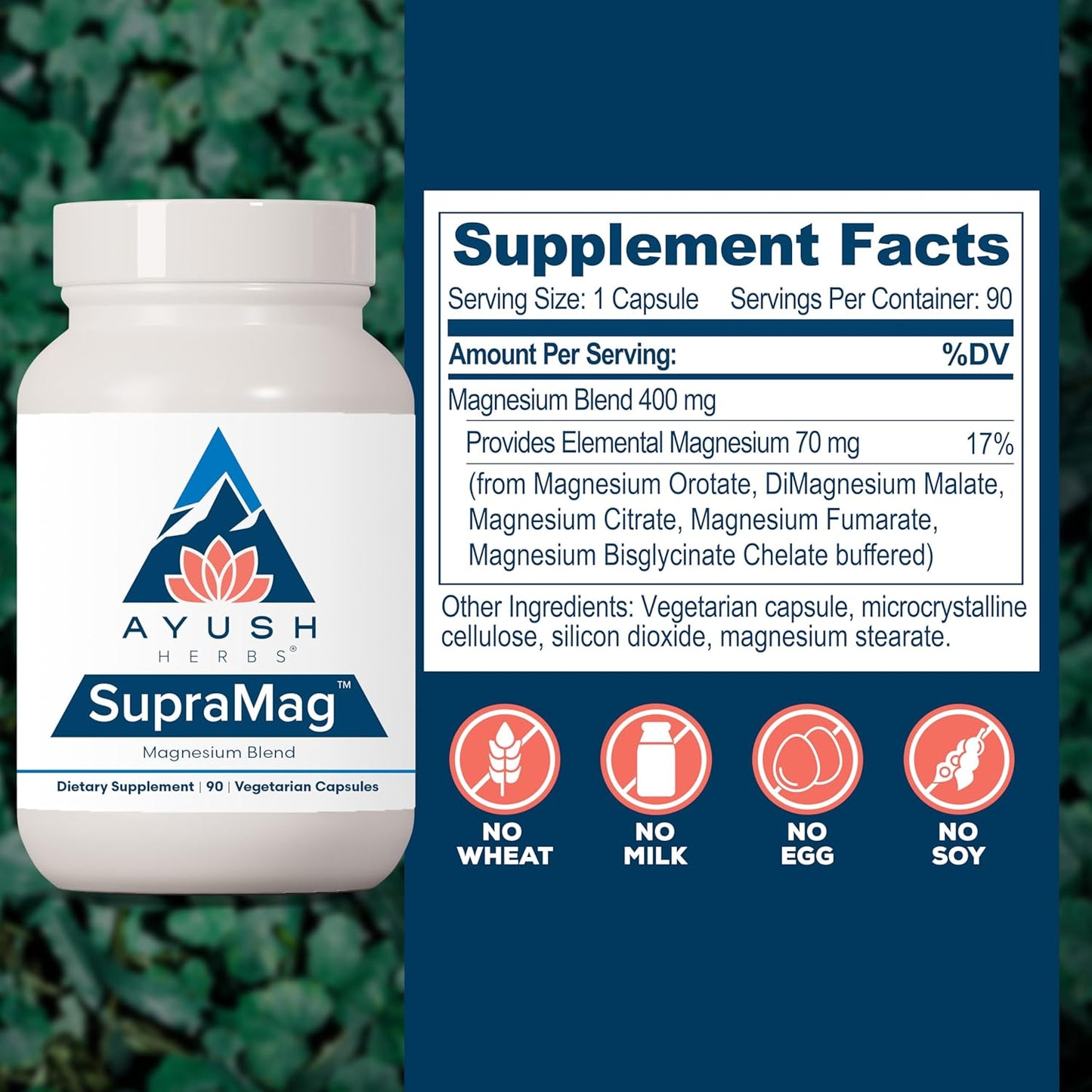 Ayush Herbs SupraMag: Magnesium Blend for Sleep, Stress, Cognitive Support - 90 Vegetarian Capsules