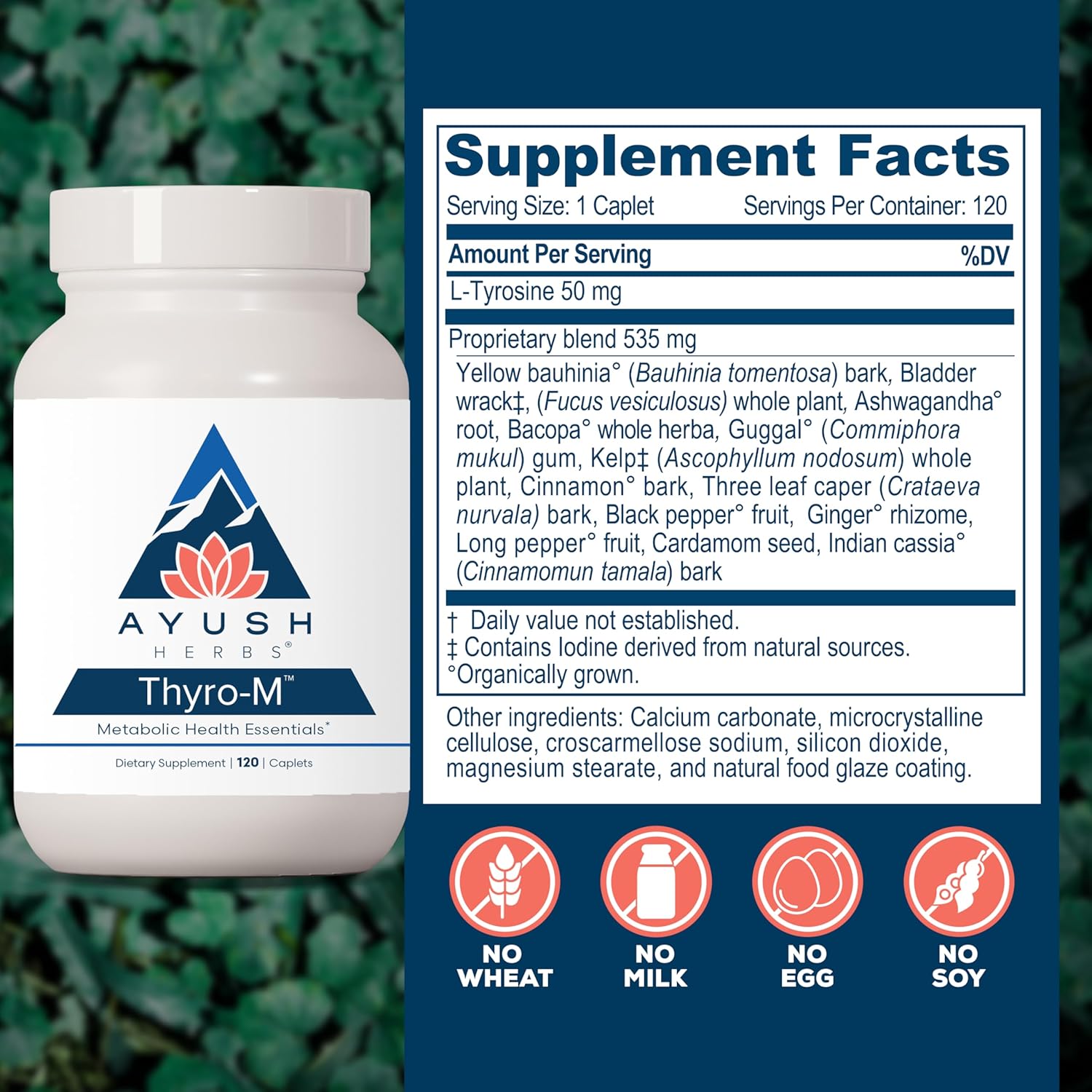Ayush Herbs Thyro-M: Natural Thyroid Support Capsules for Men and Women with L Tyrosine, Ashwagandha, and Kelp - 120 Vegetarian Capsules