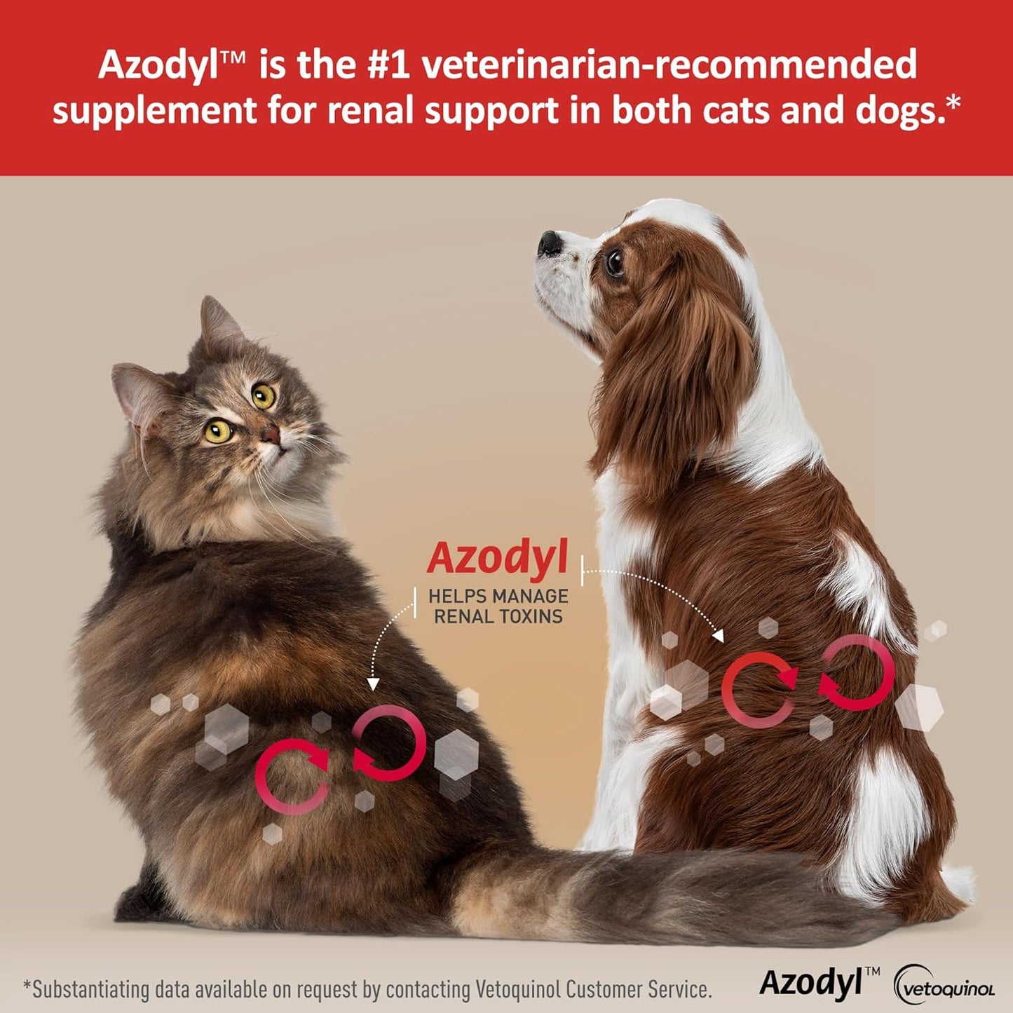 Azodyl Kidney Health Supplement for Dogs & Cats - 90ct Probiotic Pet Wellbeing - Support Kidney Function & Manage Renal Toxins - Renal Care Supplement - Easy-to-Swallow Capsules - BoostGo Australia