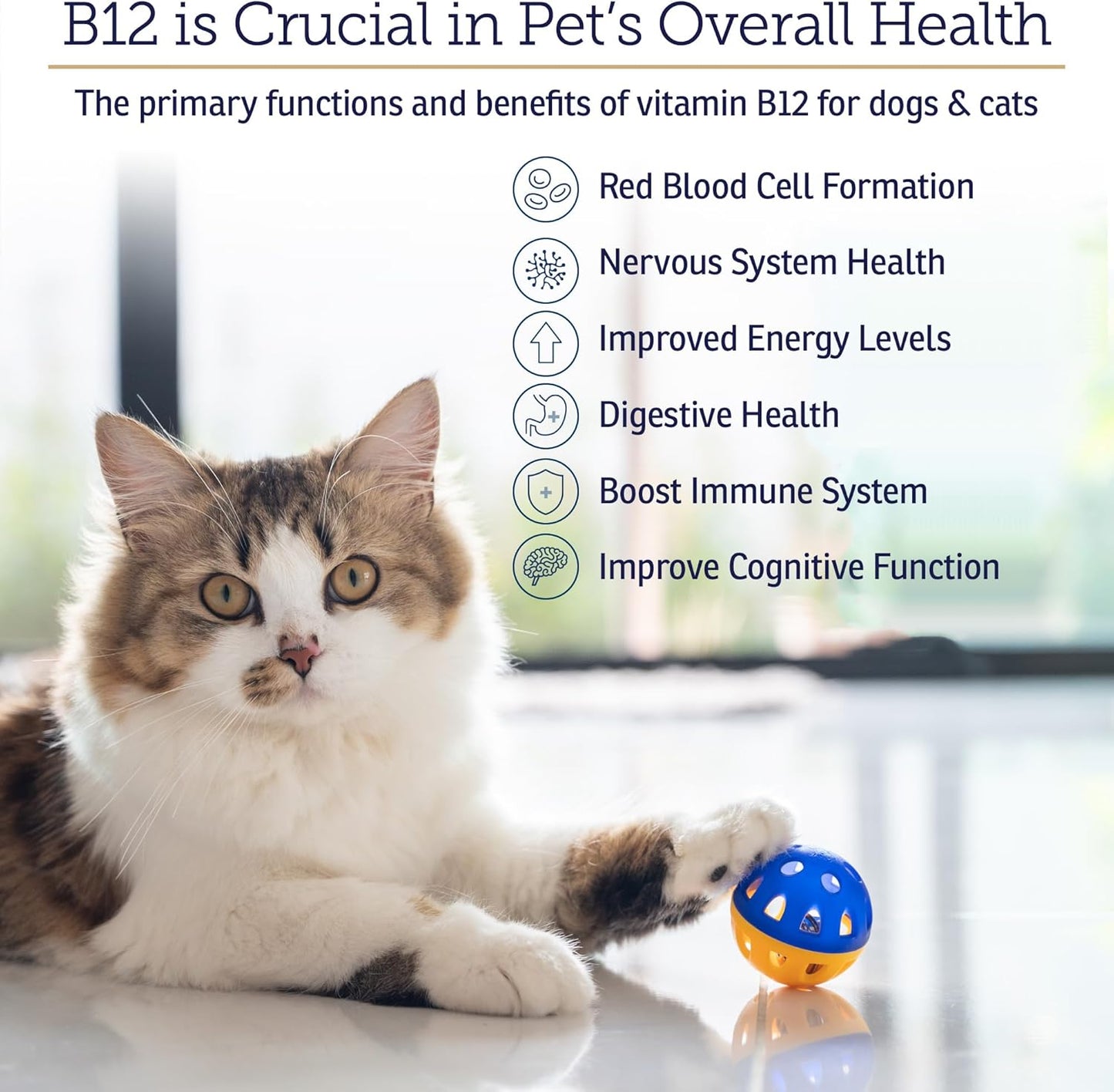 B12 Vitamin Supplement for Dogs and Cats - Supports Digestion and Nervous System - Metabolic Health - 4oz Bottle