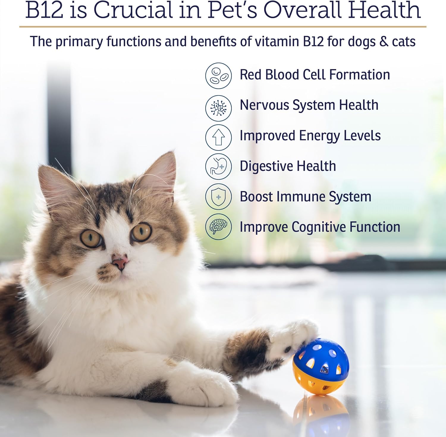 B12 Vitamin Supplement for Dogs and Cats - Supports Digestion and Nervous System - Metabolic Health - 4oz Bottle