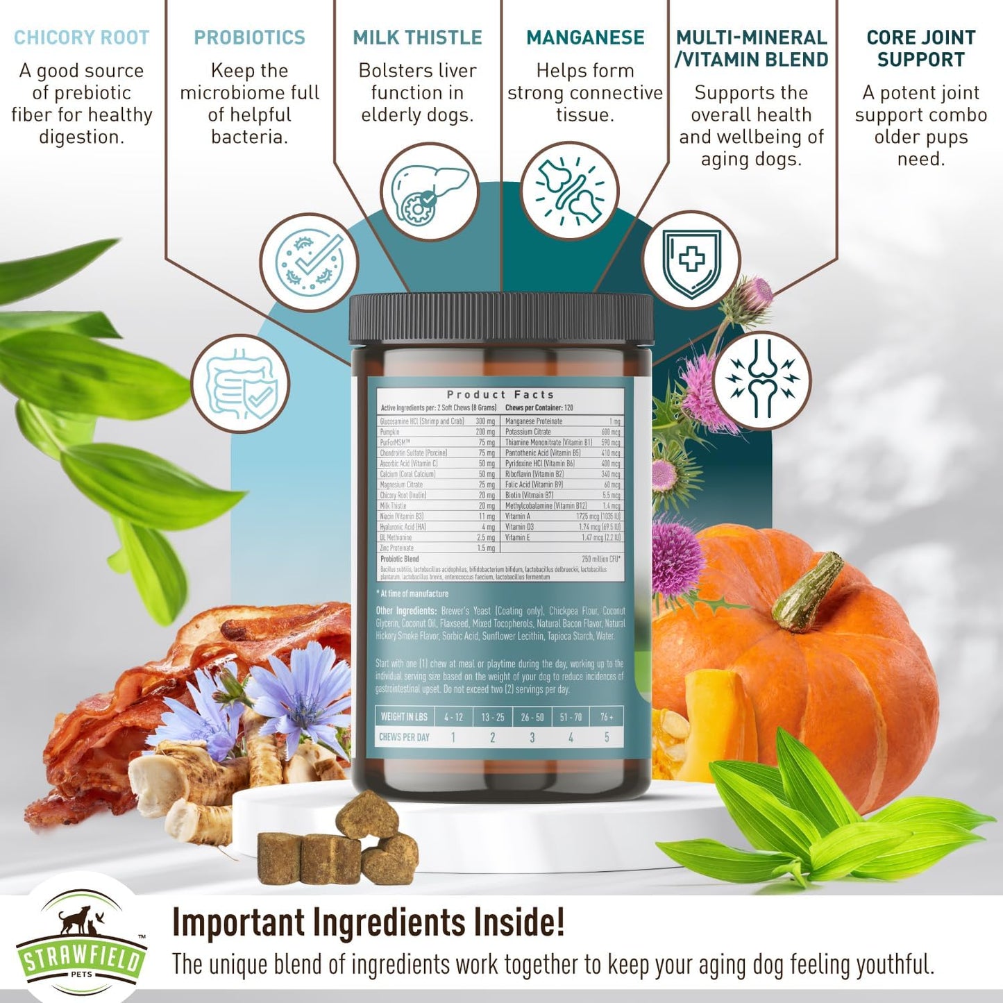 Bacon Flavored Senior Dog Multivitamin with Probiotics & Joint Support - 120 Soft Chews