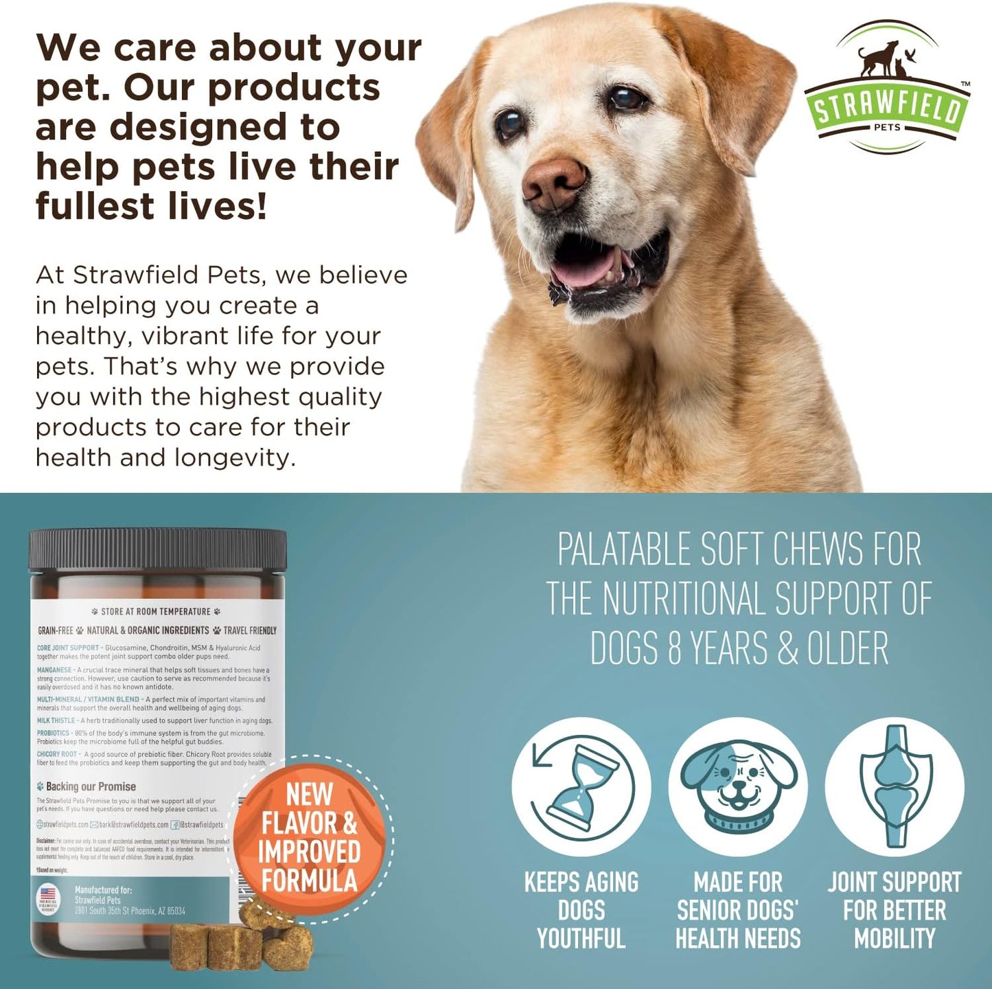 Bacon Flavored Senior Dog Multivitamin with Probiotics & Joint Support - 120 Soft Chews