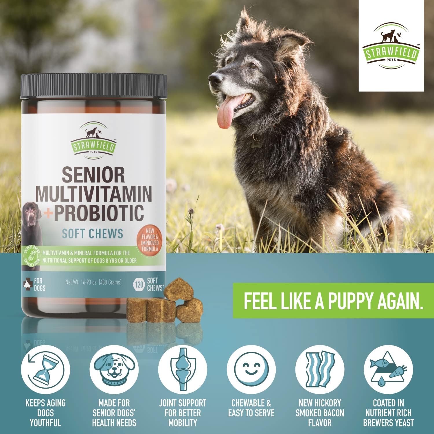 Bacon Flavored Senior Dog Multivitamin with Probiotics & Joint Support - 120 Soft Chews