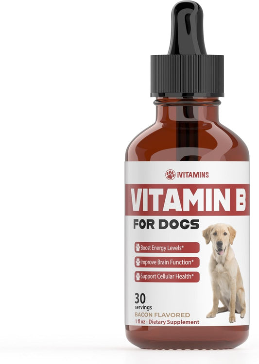 Bacon Flavored Vitamin B Complex Supplement for Dogs - 1 fl oz