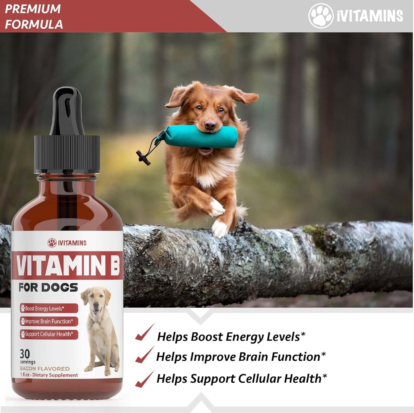 Bacon Flavored Vitamin B Complex Supplement for Dogs - 1 fl oz