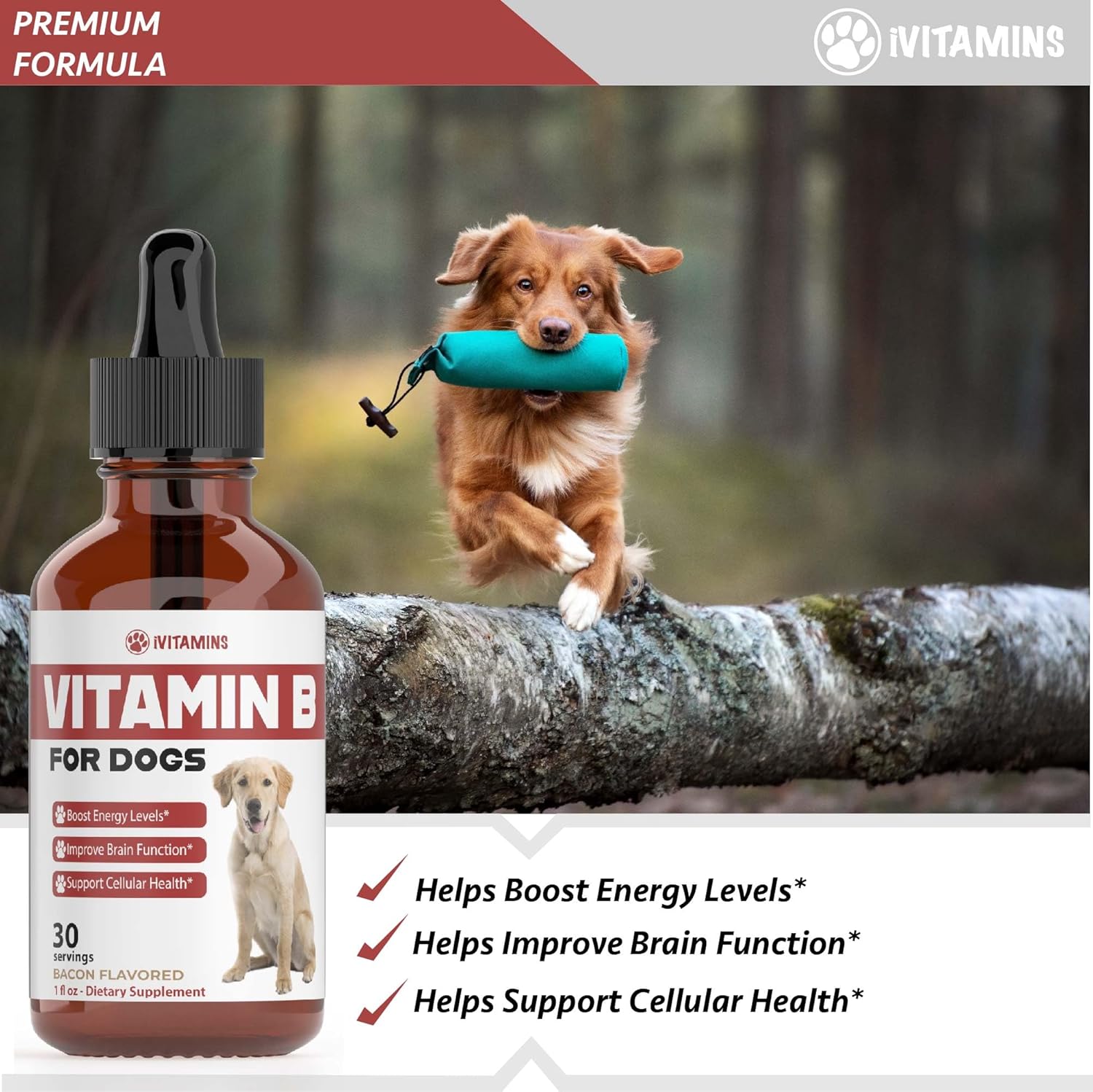 Bacon Flavored Vitamin B Complex Supplement for Dogs - 1 fl oz