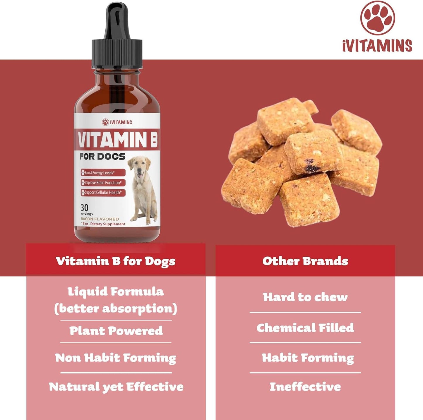 Bacon Flavored Vitamin B Complex Supplement for Dogs - 1 fl oz