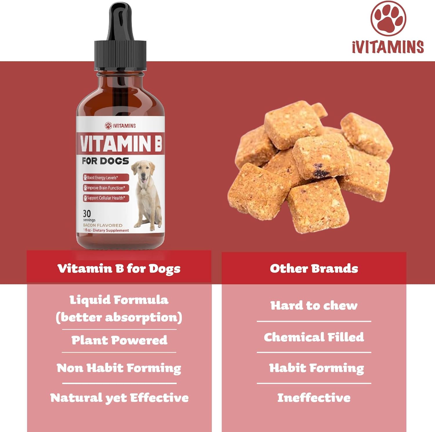 Bacon Flavored Vitamin B Complex Supplement for Dogs - 1 fl oz