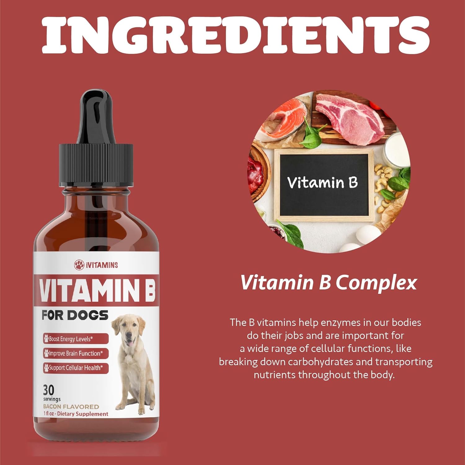Bacon Flavored Vitamin B Complex Supplement for Dogs - 1 fl oz