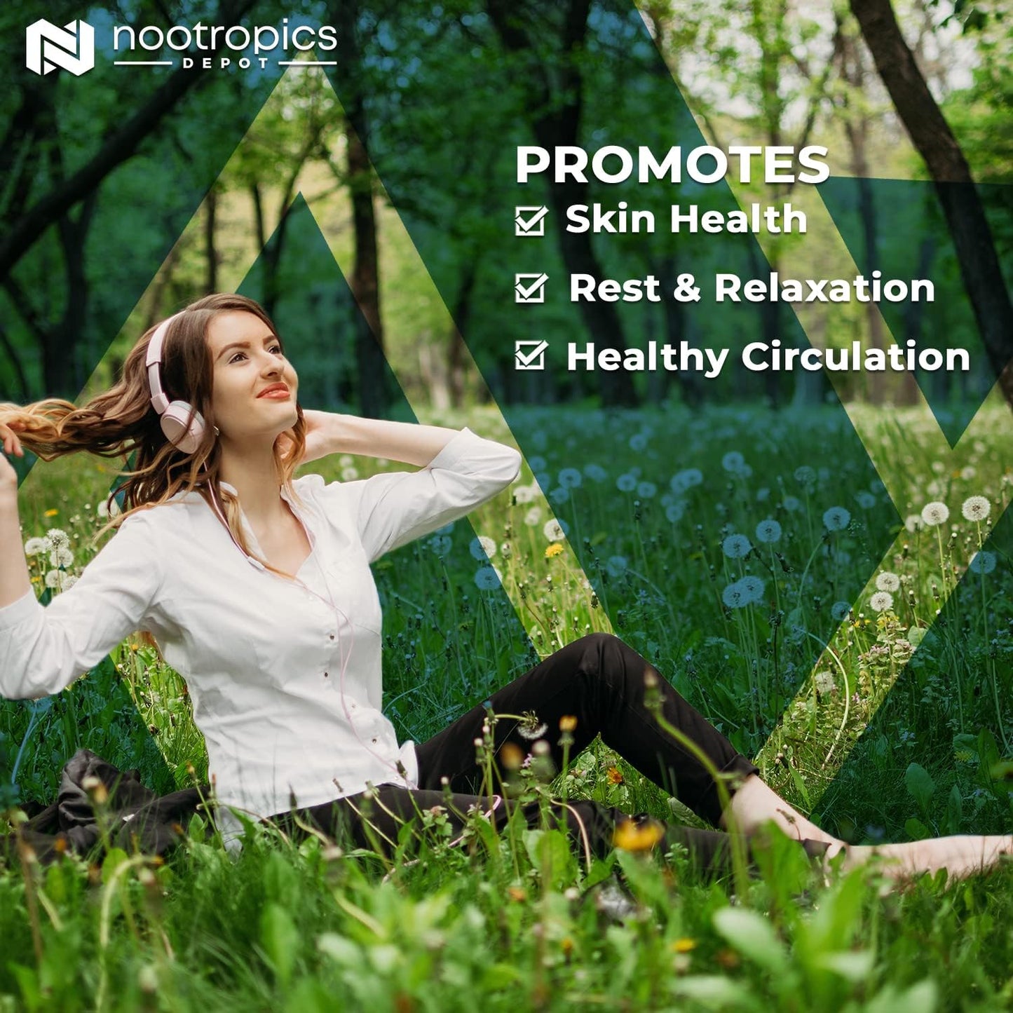 Baikal Skullcap Extract Tablets 250mg | 60 Count | High Apigenin, Baicalein, Baicalin Concentration