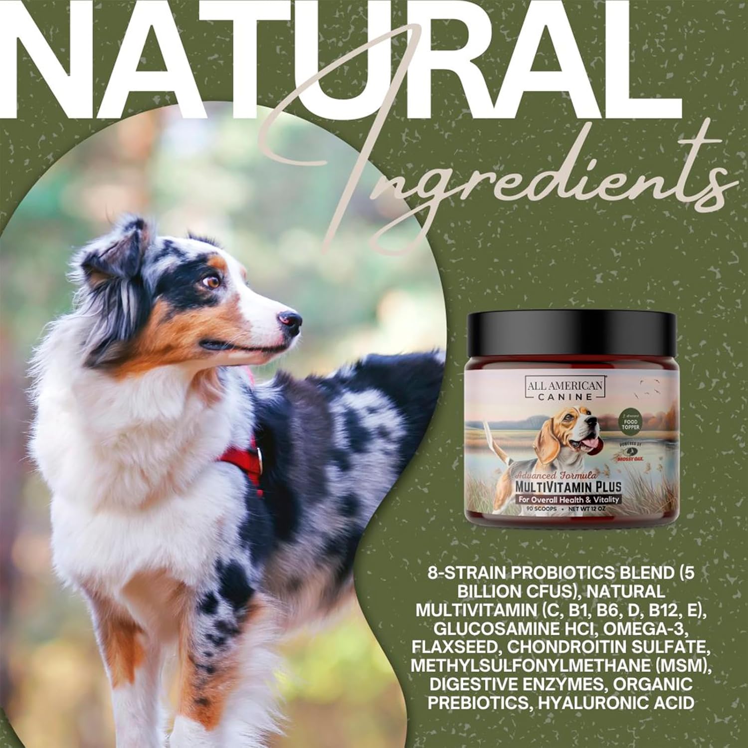 Beef Flavored Canine Multivitamin Powder with Glucosamine, Chondroitin, Probiotics, and Digestive Enzymes - 90 Servings for Joint, Immune, Skin & Coat Health