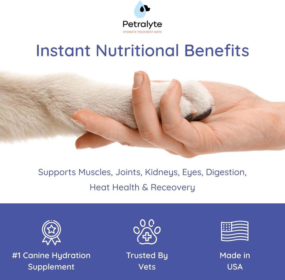 Beef Flavored Dog Electrolytes & Joint Supplement with Glucosamine, Chondroitin, MSM, & Prebiotics - 16 Packets