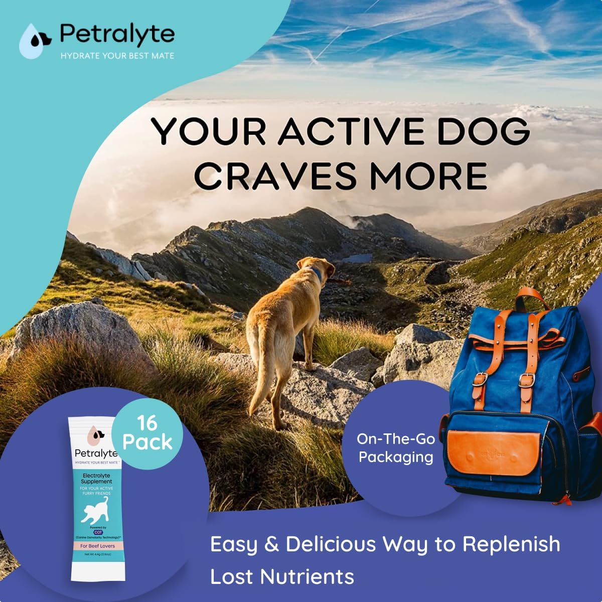 Beef Flavored Dog Electrolytes & Joint Supplement with Glucosamine, Chondroitin, MSM, & Prebiotics - 16 Packets