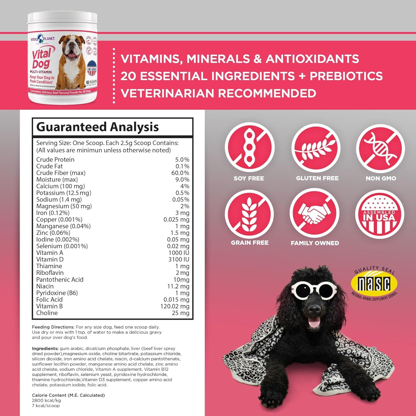 Beef Flavored Dog Multi Vitamin Powder Supplement with Minerals & Antioxidants - 30 Servings, 75g - Vital Planet Vitality for Dogs