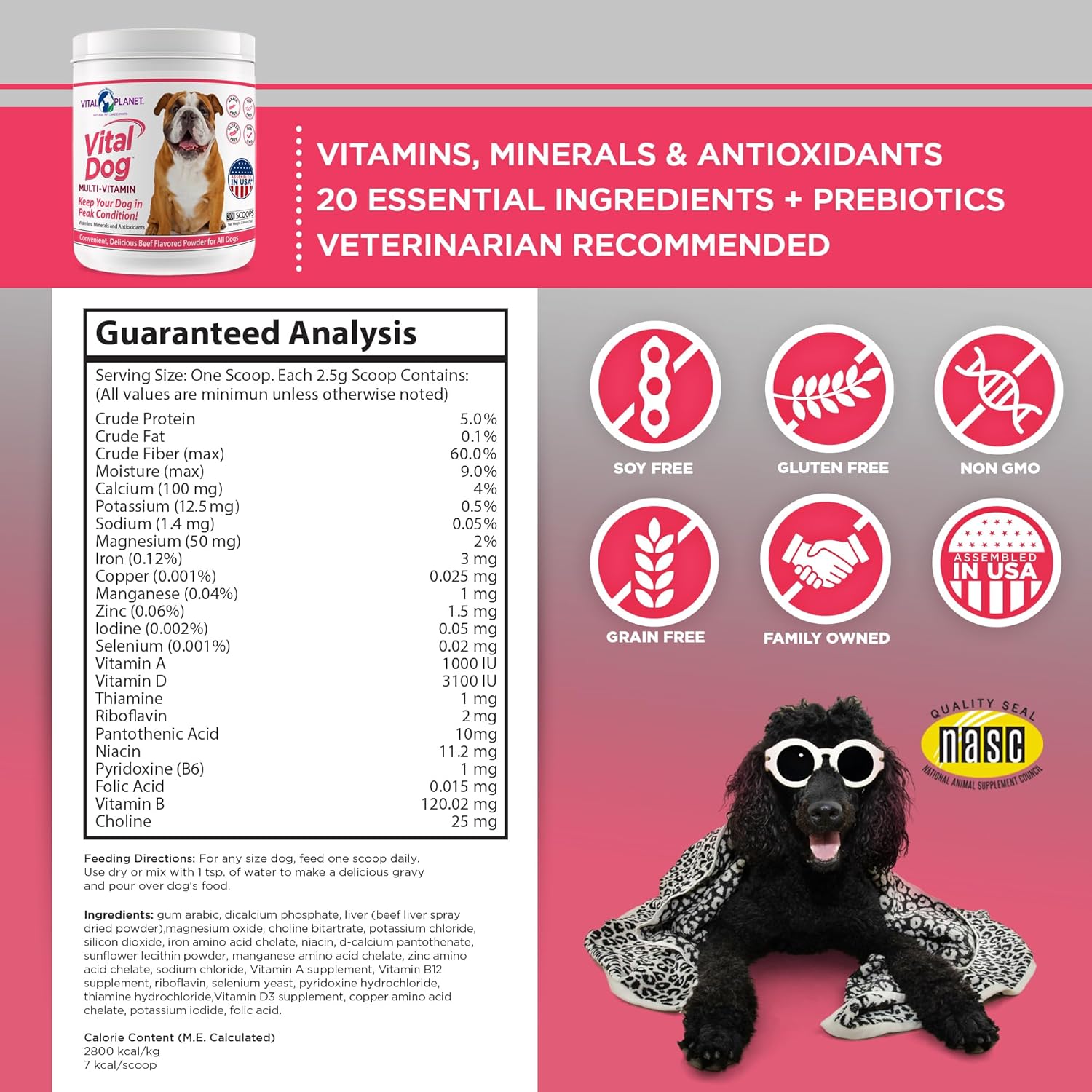 Beef Flavored Dog Multi Vitamin Powder Supplement with Minerals & Antioxidants - 30 Servings, 75g - Vital Planet Vitality for Dogs